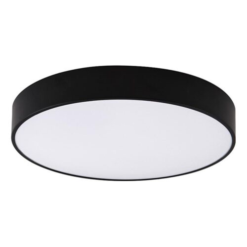 Top Light Top Light