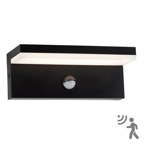 Top Light Top Light