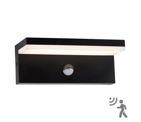 Top Light Top Light
