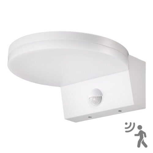 Top Light Top Light