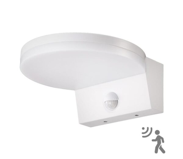 Top Light Top Light