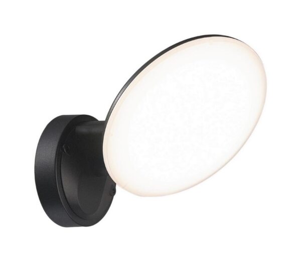 Top Light Top Light