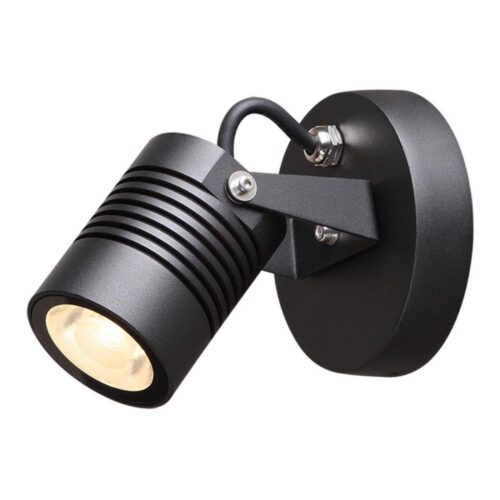Top Light Top Light