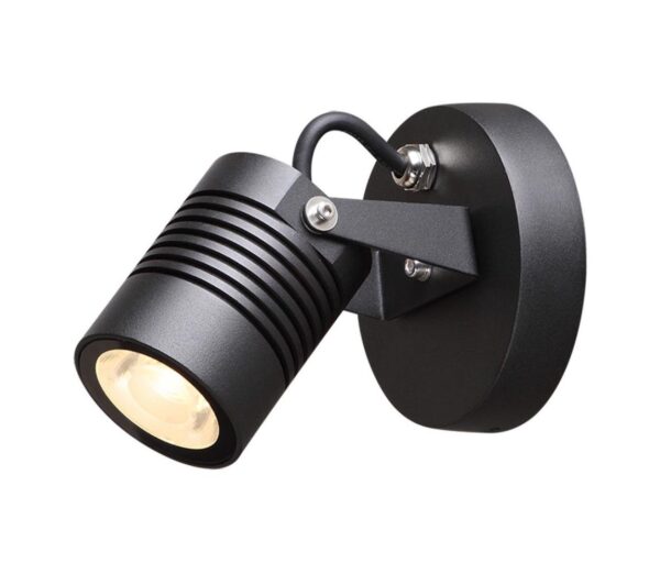 Top Light Top Light