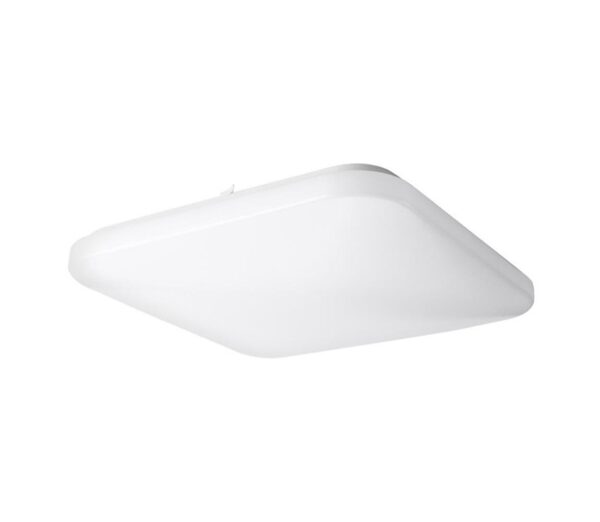 Top Light Top Light