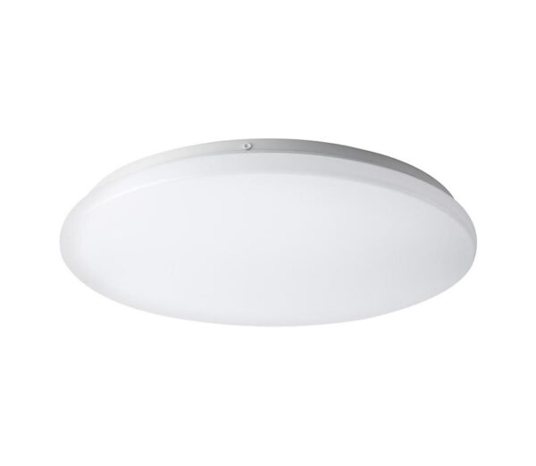 Top Light Top Light