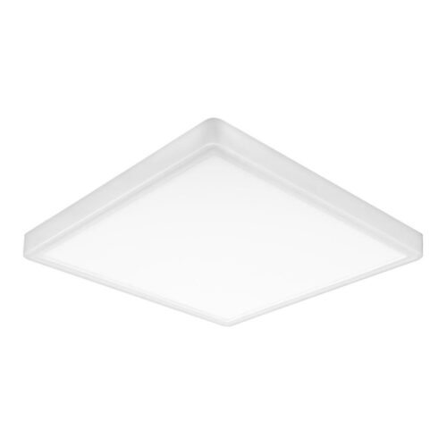 Top Light Top Light