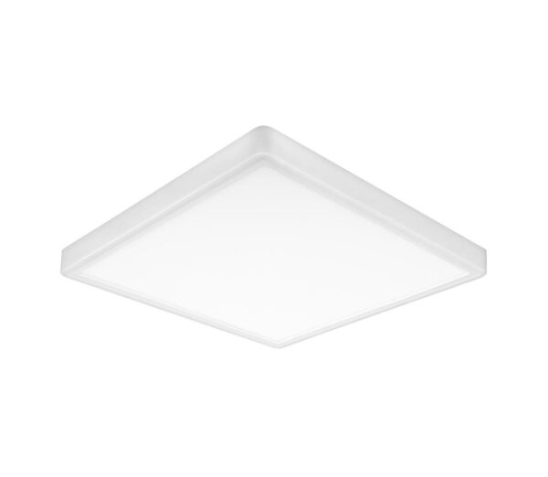 Top Light Top Light