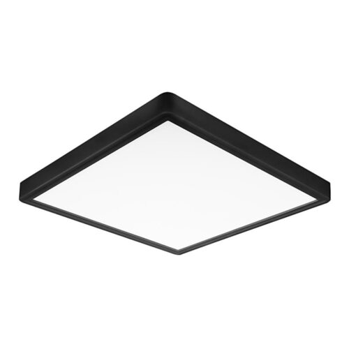 Top Light Top Light