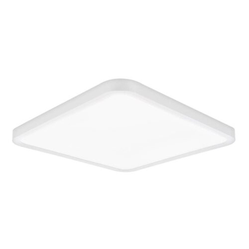 Top Light Top Light