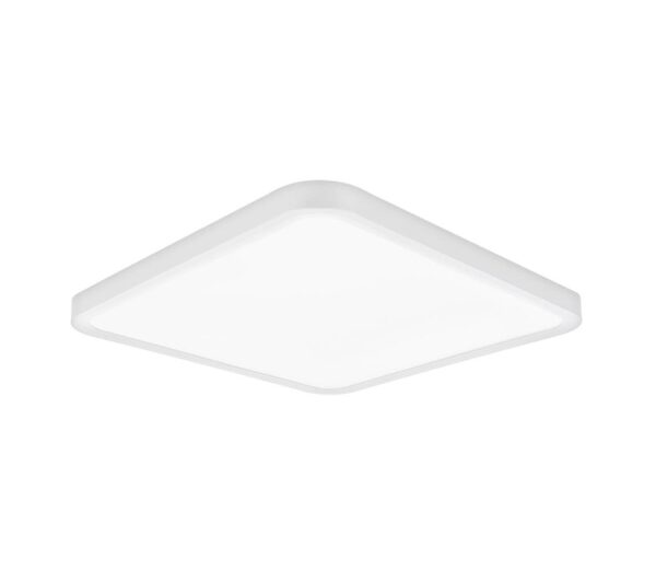 Top Light Top Light