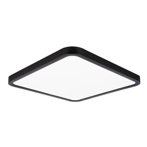 Top Light Top Light