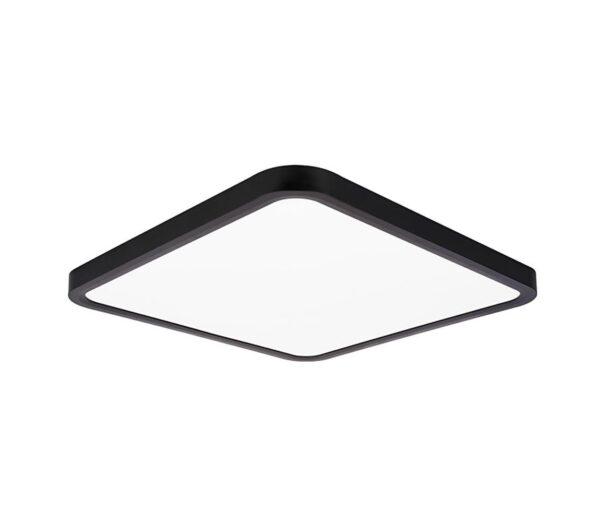 Top Light Top Light