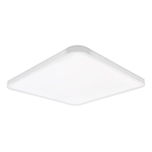 Top Light Top Light