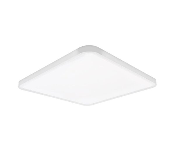 Top Light Top Light