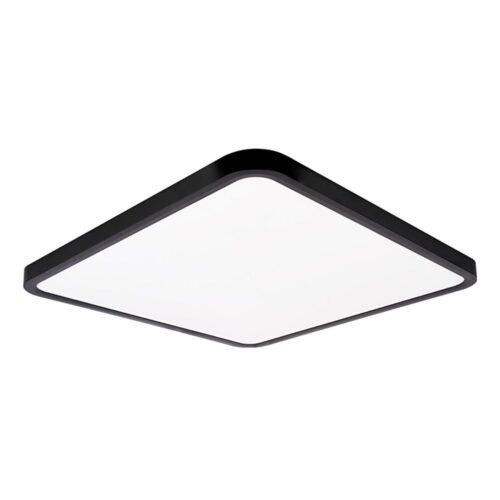 Top Light Top Light