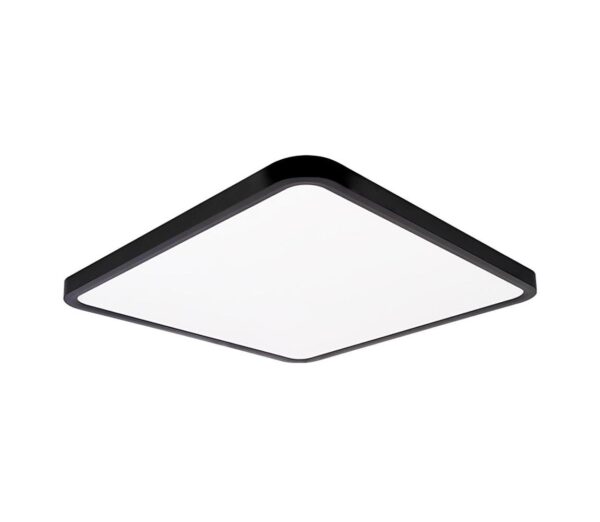 Top Light Top Light