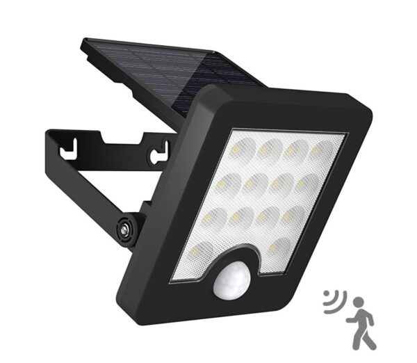 Top Light Top Light
