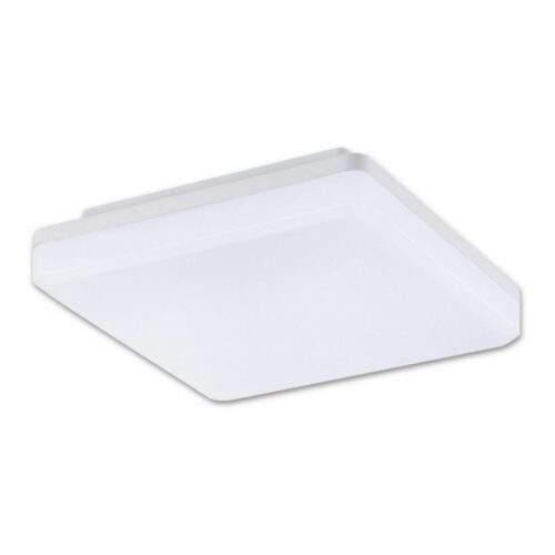 Top Light Top Light Leon H
