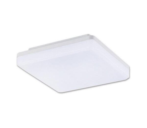 Top Light Top Light Leon H