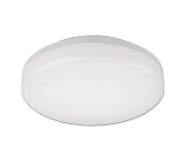 Top Light Top Light Leon K