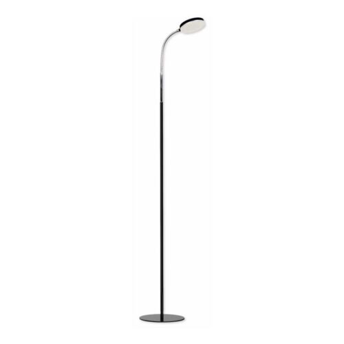 Top Light Top Light Lucy P C