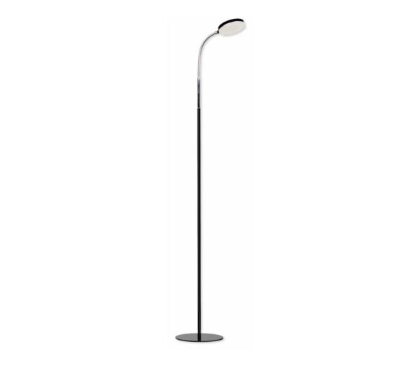 Top Light Top Light Lucy P C